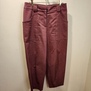 EXPRESS tapered Ankle Stylish  Pants Size 8